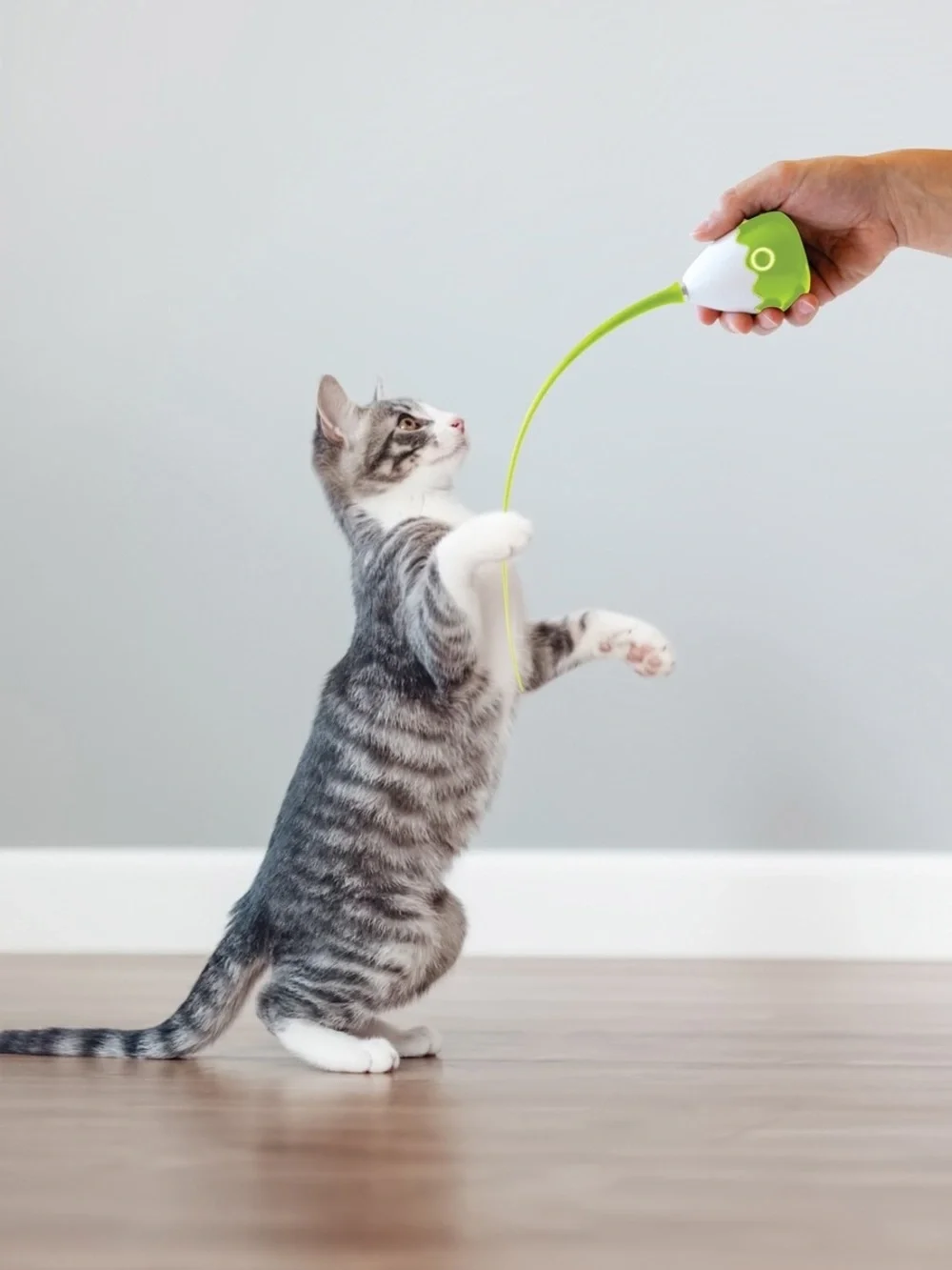 PurrSpin Interactive Cat Toy - New in box.